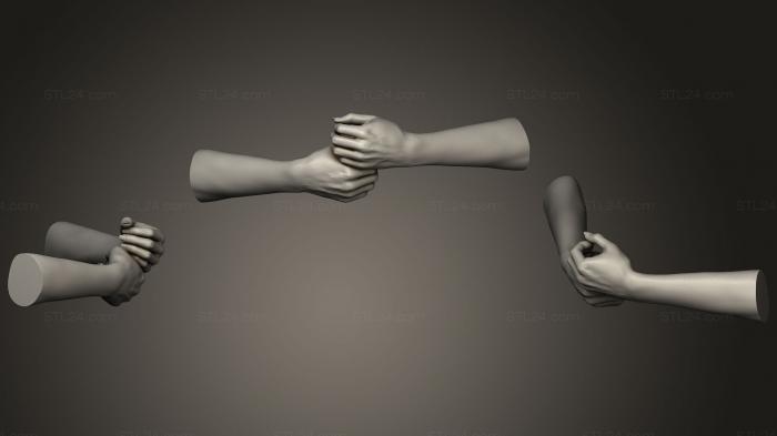 Анатомия скелеты и черепа (Женские руки 9, ANTM_0480) 3D модель для ЧПУ станка